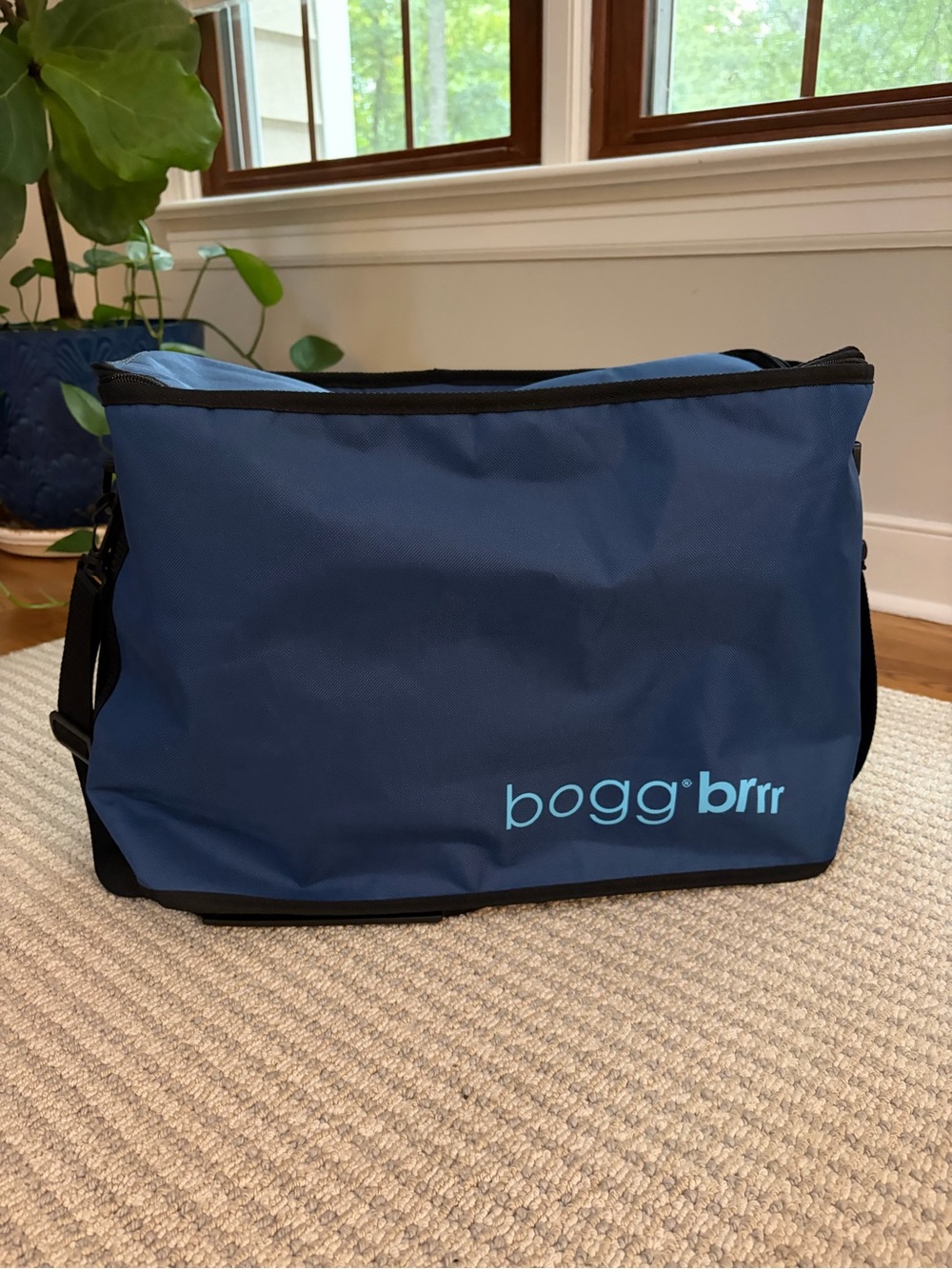 Navy Insulated Bogg Brr Bag